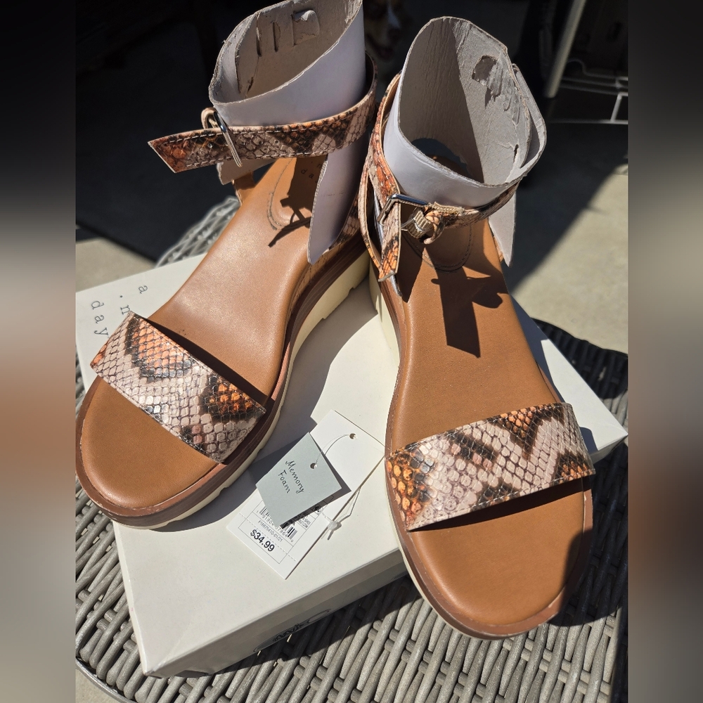 a new day Abigail Heel